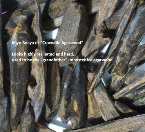 oud,fake agarwood, kayu buaya, 