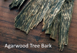 agarwood-tree bark