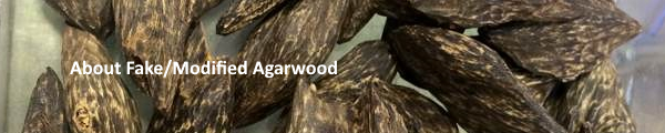 Agarwood oil, oud, fake agarwood