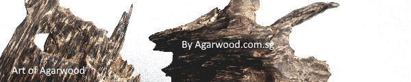 agarwood special, special agarwood