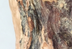 vintage-agarwood, old agarwood